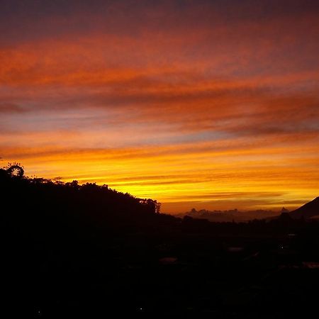 Bajawa-Roo Hotel Dış mekan fotoğraf