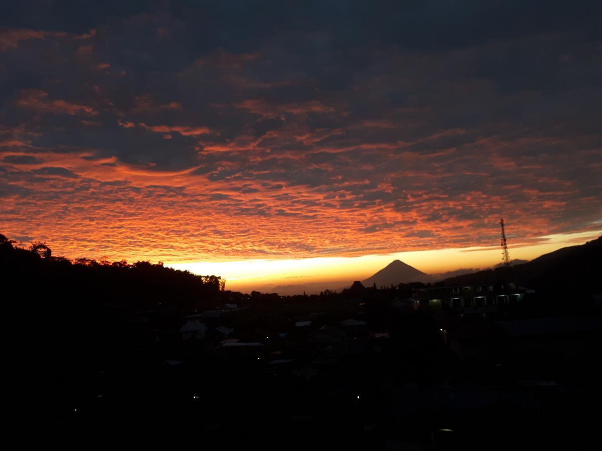 Bajawa-Roo Hotel Dış mekan fotoğraf